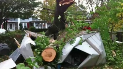 Charlie Seymour Jr Things We Focus On Expand - Power