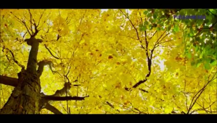 The Sound of Water By Puravankara 09310005558 Bannerghatta Bangalore