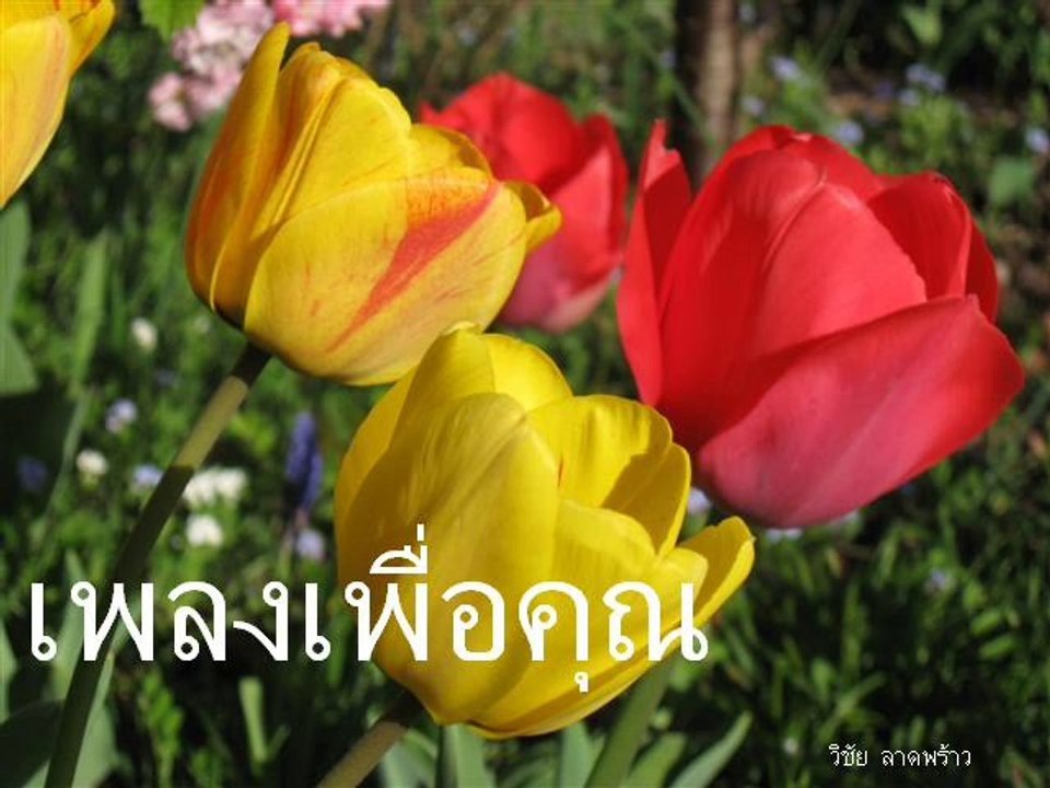 เพลงเพื่อคุณ  6