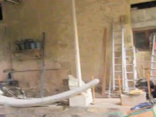 Arbres "la Balaine" dans l'Allier.......03.