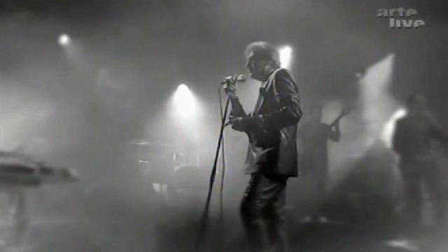 Alain BASHUNG - La nuit je mens ( reprise ) 2014