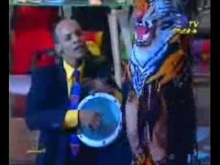 Tiger Outfit Belly Dance