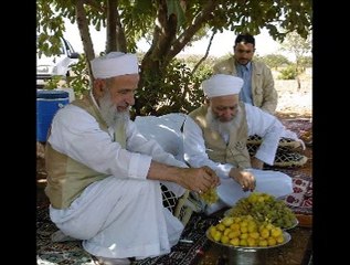 SEYH İZZEDDİN AKSAN (KS) 1. RESİM KLİBİ EYA SAKİ