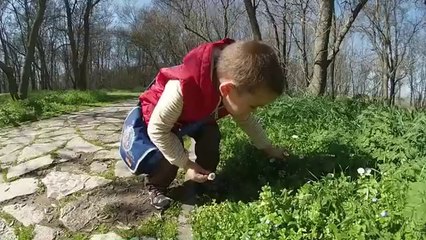 Bird Paradise Manyas GoPro Studio 2.0