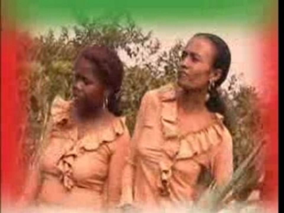 Gasikara - Zambey Group