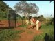 éléphants orphelins, Sheldrick, Kenya