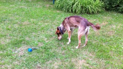 La petite Hindy mai 2014