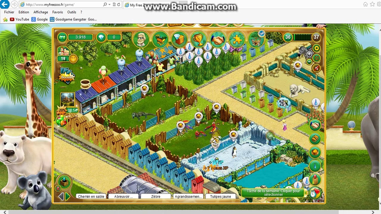 myfreezoo (visite )