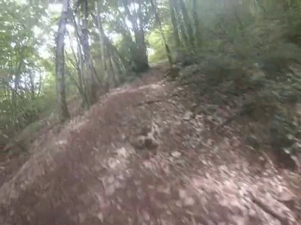 Trail 30 km
