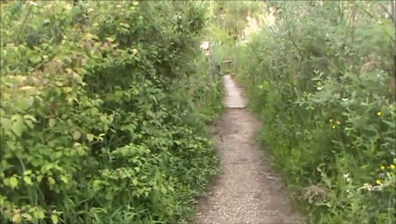 balade promenade au  lac saint andre les marches savoie