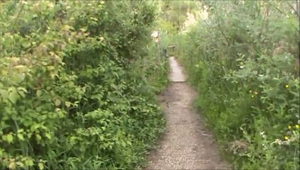 balade promenade au  lac saint andre les marches savoie