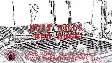 Exterminating Bed Bugs