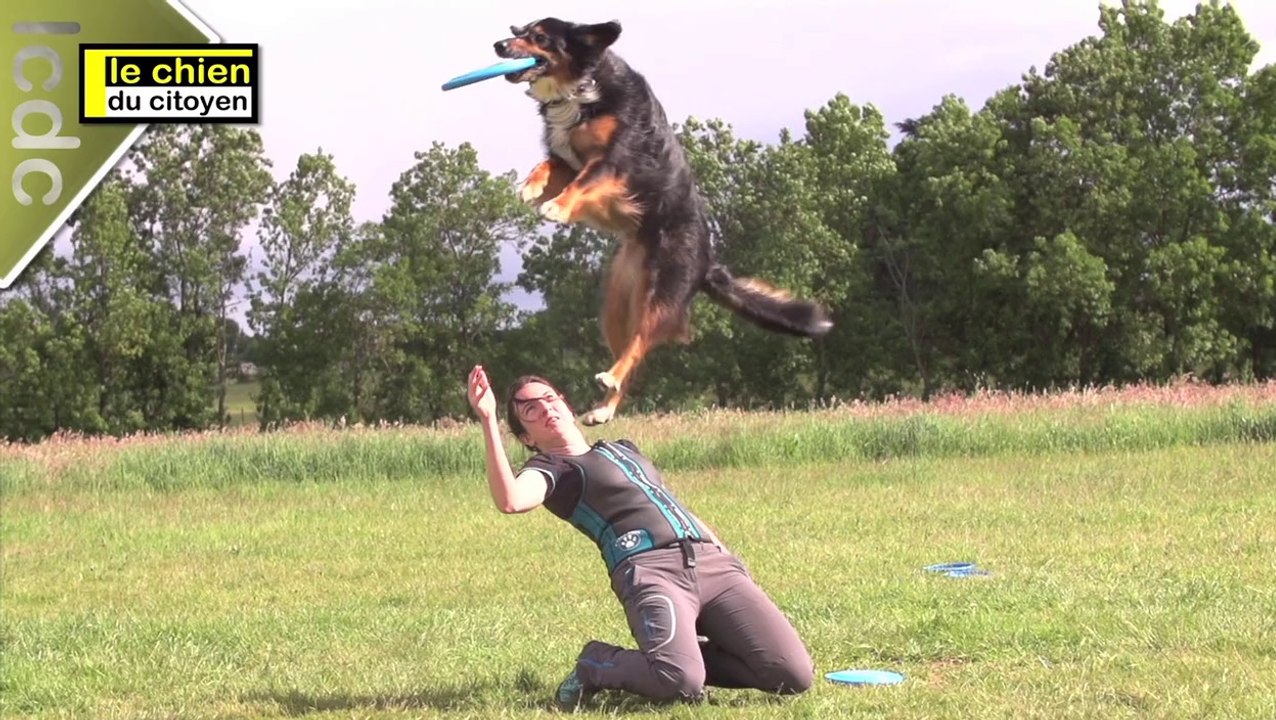 2 minutes de sport canin offertes par le chien citoyen