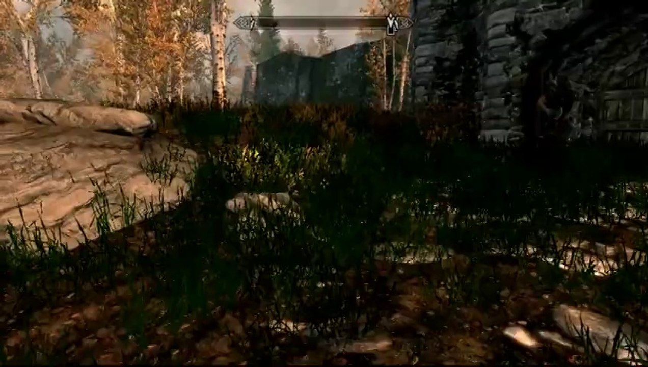 Skyrim :  IA brutalement changeante