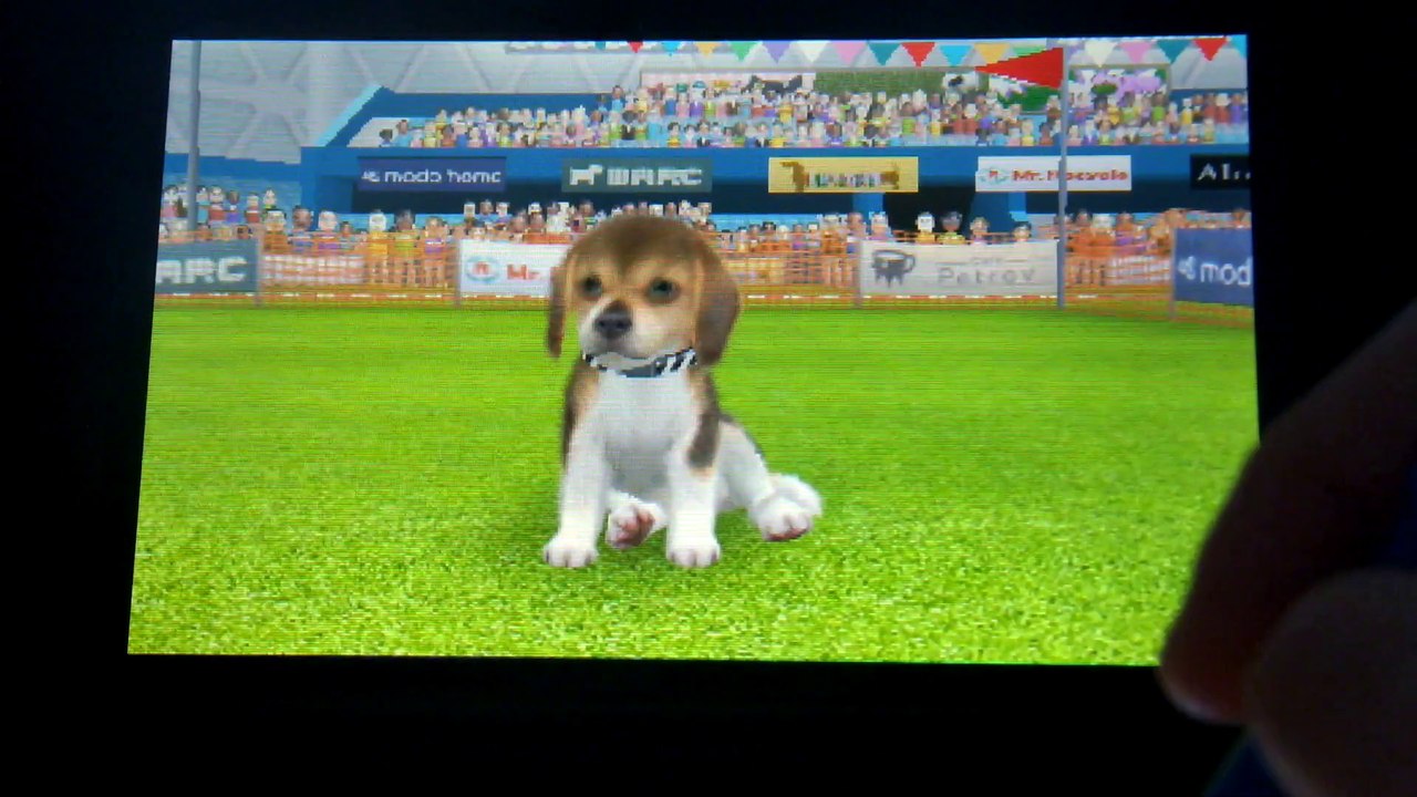 Nintendogs + cats encore encore et encore: Ep 2