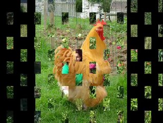 PROFESIONAL - NEICA UNDE-AI FOST ASEARA