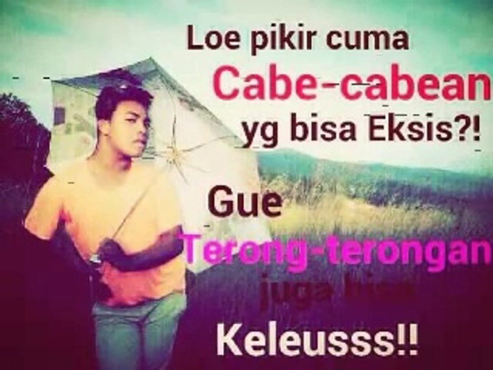 Terong - Terongan