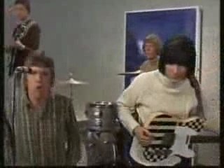 The Birds - That's All I Need You For