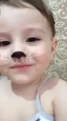 You have never seen such a lovely cat...!!!