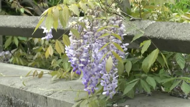 LES W-D.D. MICHOU SATURDAY NEWS - 19 AVRIL 2014 - EN 3 PETITS TOURS DU STADE NAUTIQUE.