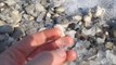 Phénomène naturel impressionnant sur la mer morte : des cubes de sel!