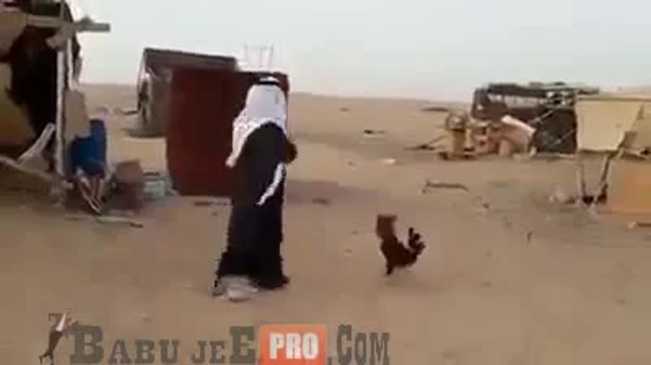 funny Arabic