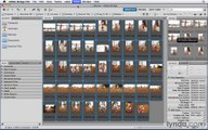 Photoshop CS5 Essential Training-8-Changing obscure camera file names wih the Batch Rename command