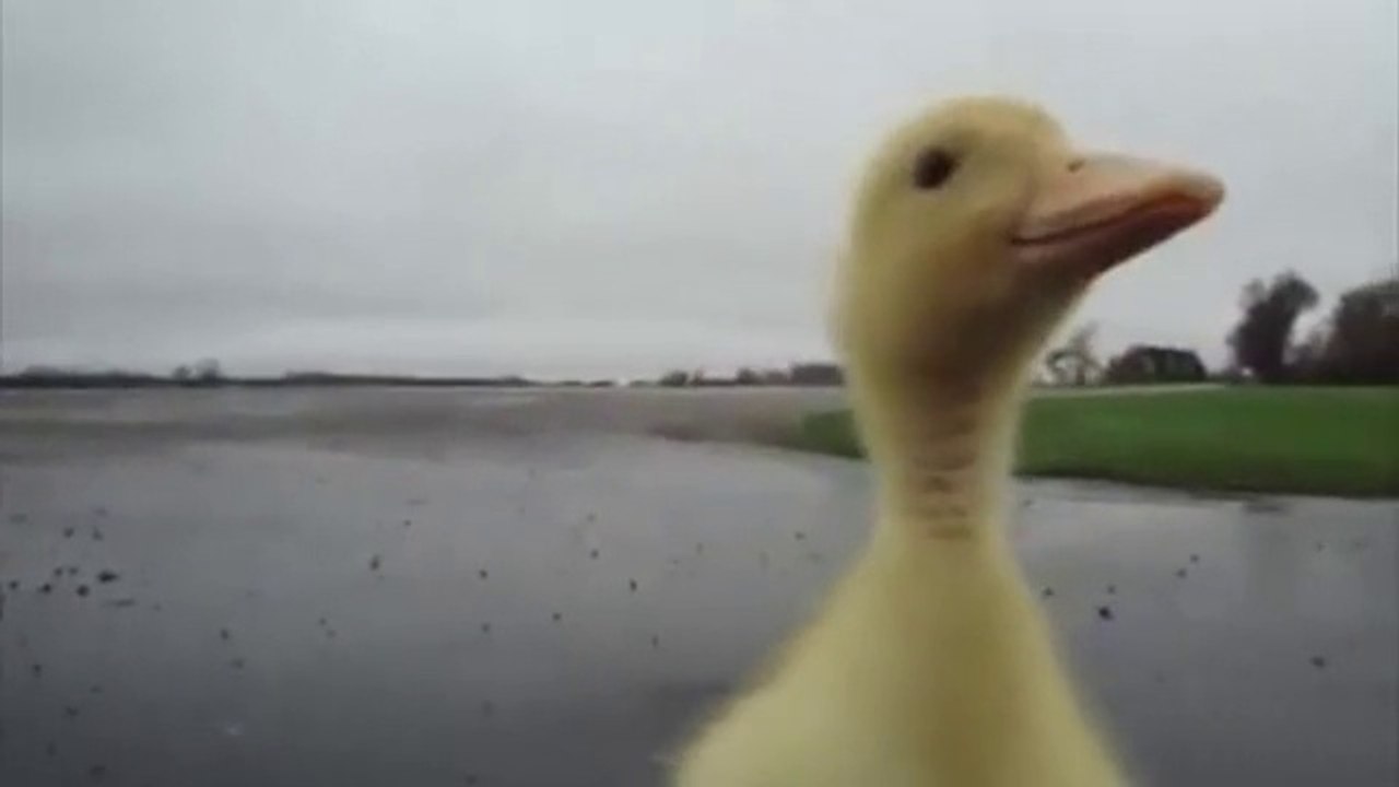 Someone is following me