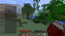 Minecraft: Pixelmon part 2 Pixelmon Violence