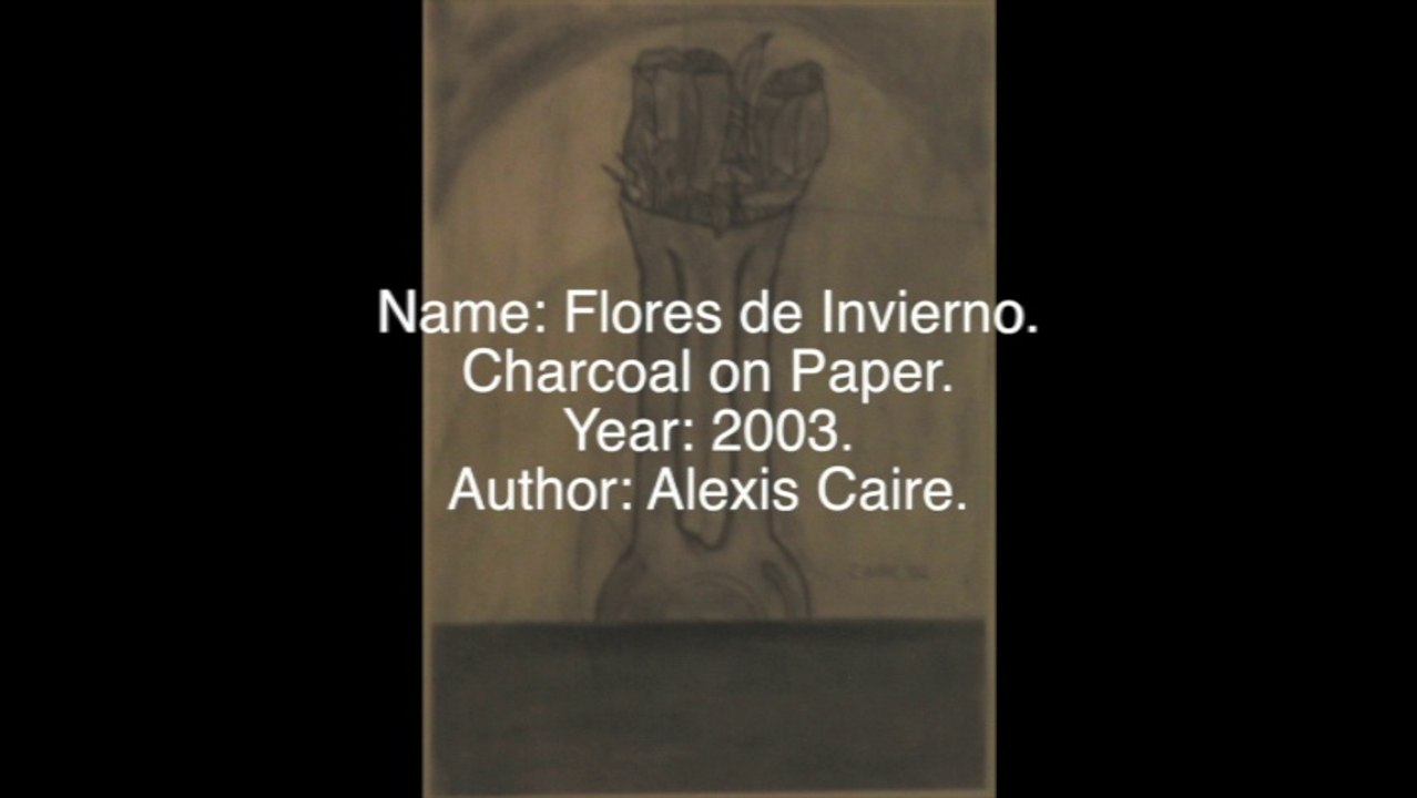 ALEXIS CAIRE - FLORES DE INVIERNO - SAATCHI ART - www.saatchiart.com/alexiscaire