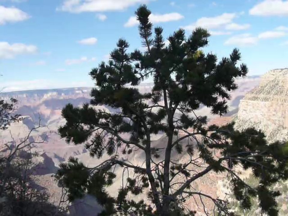 GRAND CANYON 041