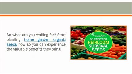 5 Reasons To Plant Non-GMO Garden Seeds 3