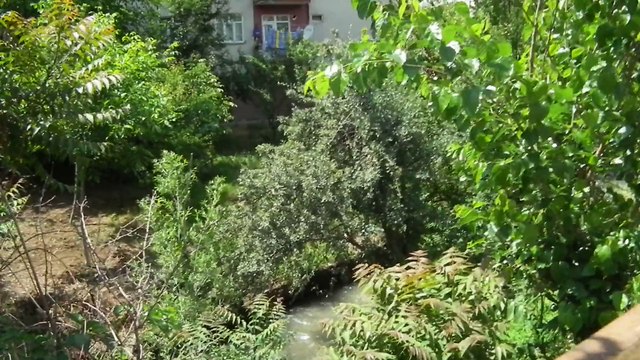 Malatya Uçbağlar Değirmen Sokağı-Sultan Kılıç-Azzet bibi