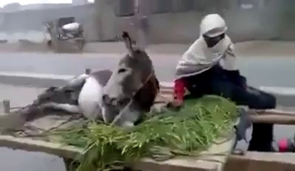 Very Funny Video In Pakistan