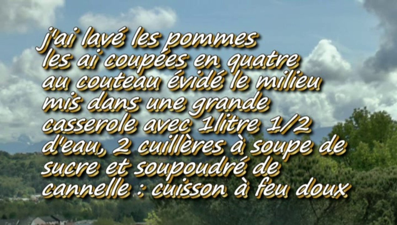 LES RECETTES DE MICHOU W-DD.D. - 30 AVRIL 2014 - UNE SIMPLE COMPOTE DE POMME...