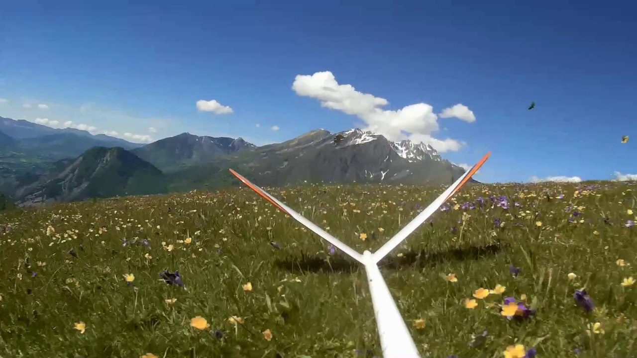 Needle 115 V onboard cam
