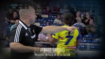 Arnaud Gandais élu meilleur entraîneur LFH (Nuit du Handball 2014)