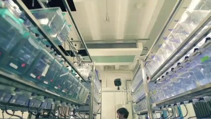 QMUL - The future of research - Building a new research community