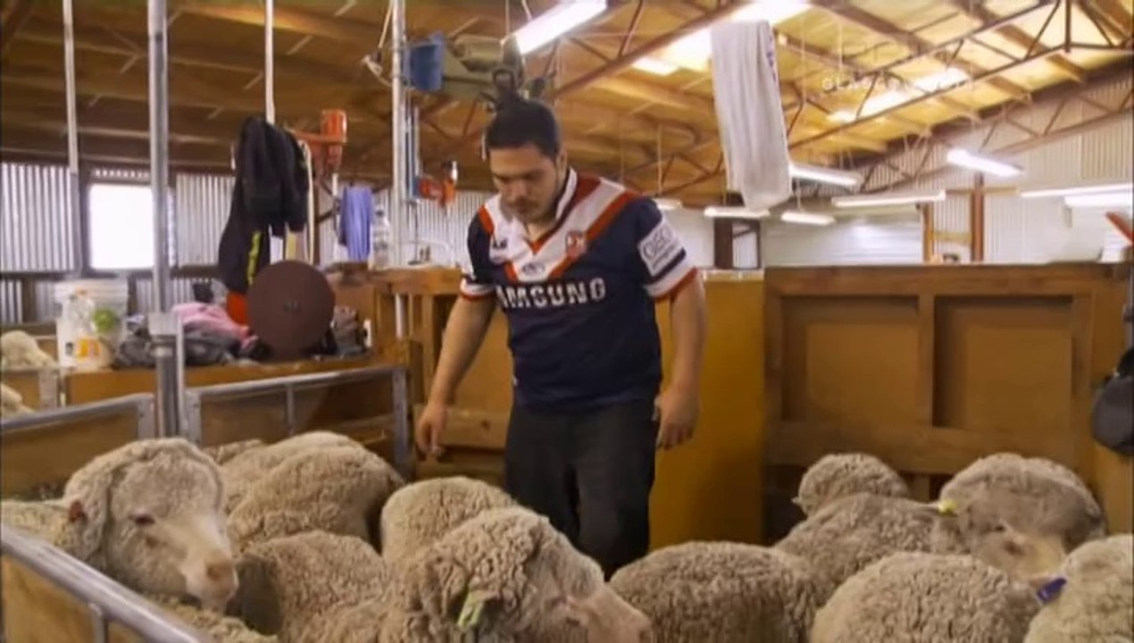 shearing gang season 2 ep 3 video Dailymotion