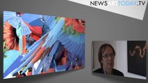 Galerie Pascal Vanhoecke: Exposition Ballester, Calvat, Burges, Robert Gligorov, avec NewsArtToday.tv