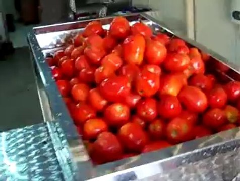 sanayi tipi salça makinası UÇAKİŞMAKİNA 0224 618 05 70