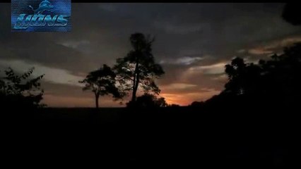 Lions ATTACK at Night - Lions fighting to death