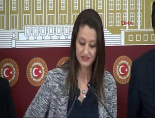 CHP'li Pavey: Türkiye I www.halkinhabercisi.com