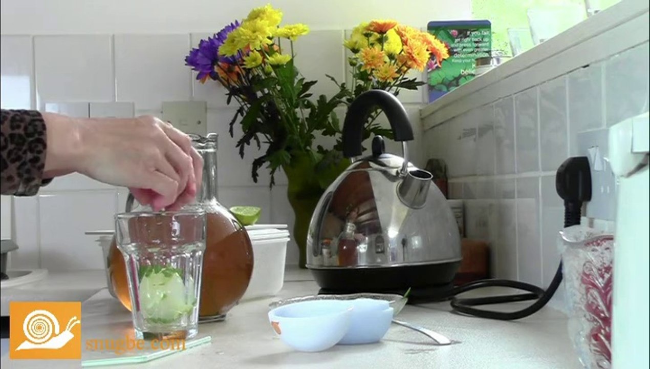 How To Make Iced Green Tea With Lime And Mint Ice Orbs