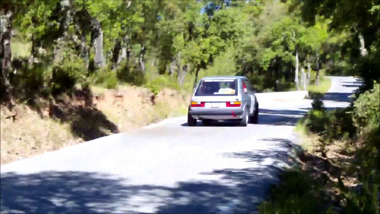 RALLYE DE LA CRAU 2014
