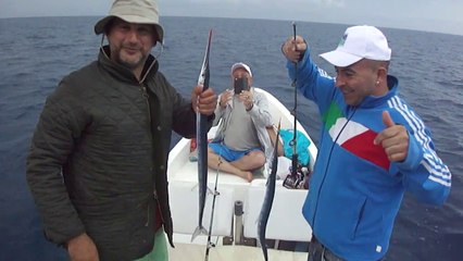 AKYA AVINDA YEM YAPMAK İÇİN ZARGANA AVI - www.adrasanbalik.com