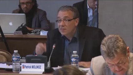 Patrick MOLINOZ. Museoparc Alésia. 23 mai 2014