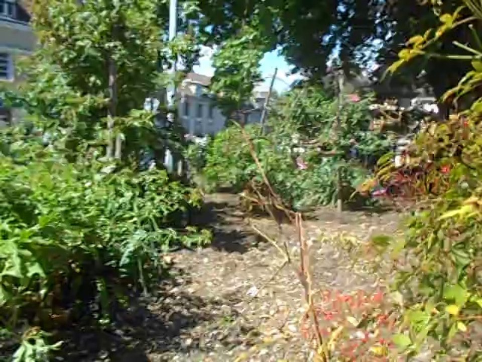 Beauvais : ils ont rendu hommage à Sophie Flandrin