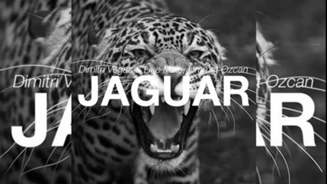 Dimitri Vegas Like Mike vs. Ummet Ozcan - Jaguar (Original Mix) - YouTube