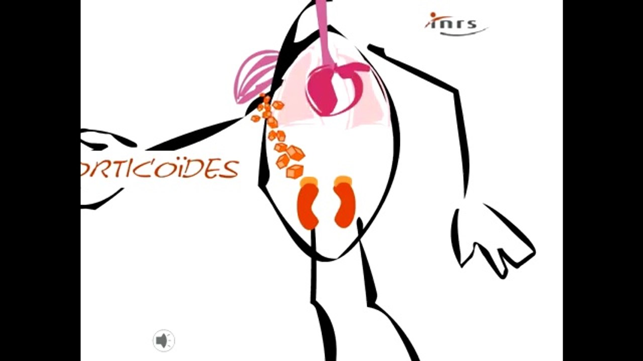 Les mécanismes du stress au travail